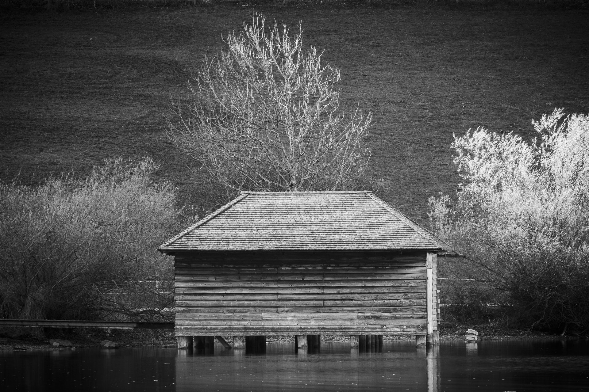 Stillness By The Water